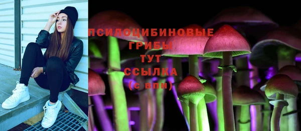не бодяженный Армянск