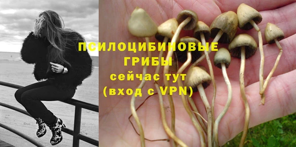 не бодяженный Армянск